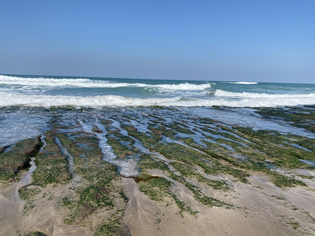 富貴角公園的老梅綠石槽,天然的綠色地毯!石門一日遊的好去處 富貴角公園的老梅綠石槽,天然的綠色地毯!石門一日遊的好去處