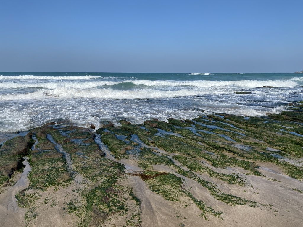 富貴角公園的老梅綠石槽,天然的綠色地毯!石門一日遊的好去處 富貴角公園的老梅綠石槽,天然的綠色地毯!石門一日遊的好去處