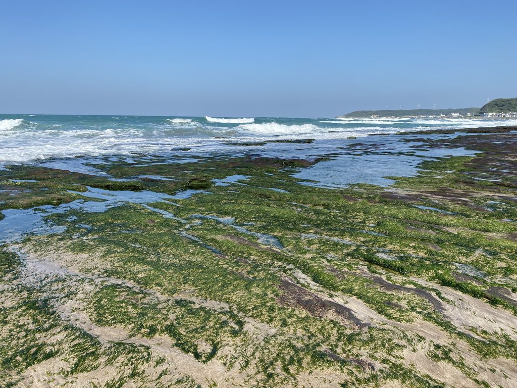 富貴角公園的老梅綠石槽,天然的綠色地毯!石門一日遊的好去處 富貴角公園的老梅綠石槽,天然的綠色地毯!石門一日遊的好去處