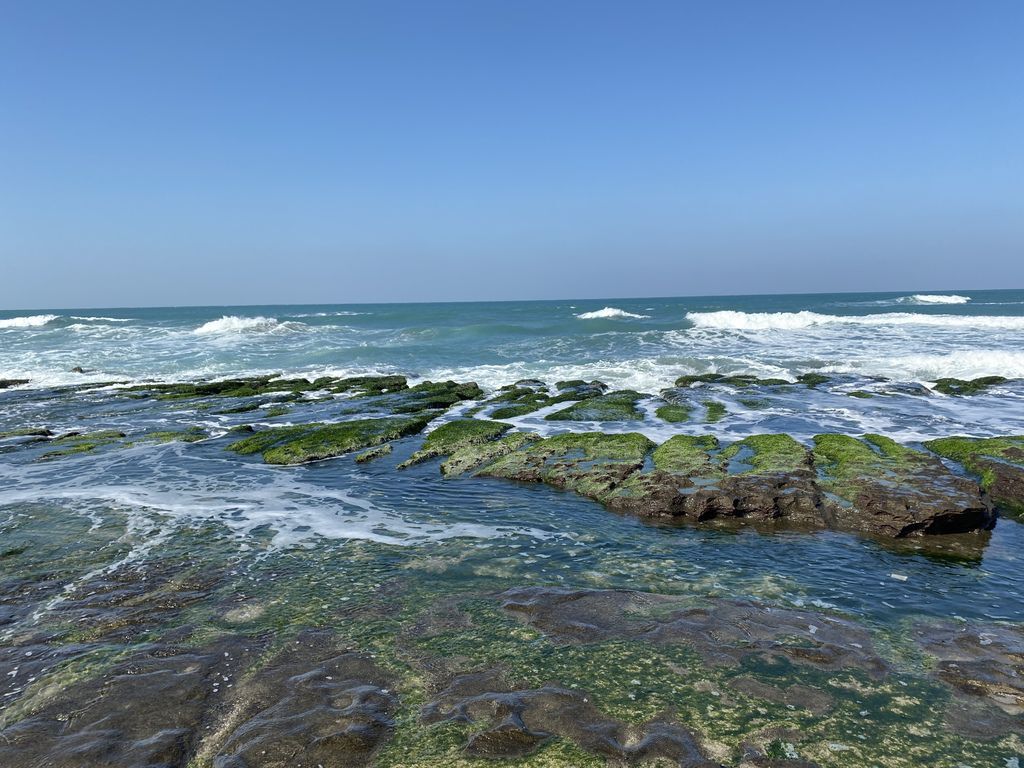 富貴角公園的老梅綠石槽,天然的綠色地毯!石門一日遊的好去處 富貴角公園的老梅綠石槽,天然的綠色地毯!石門一日遊的好去處