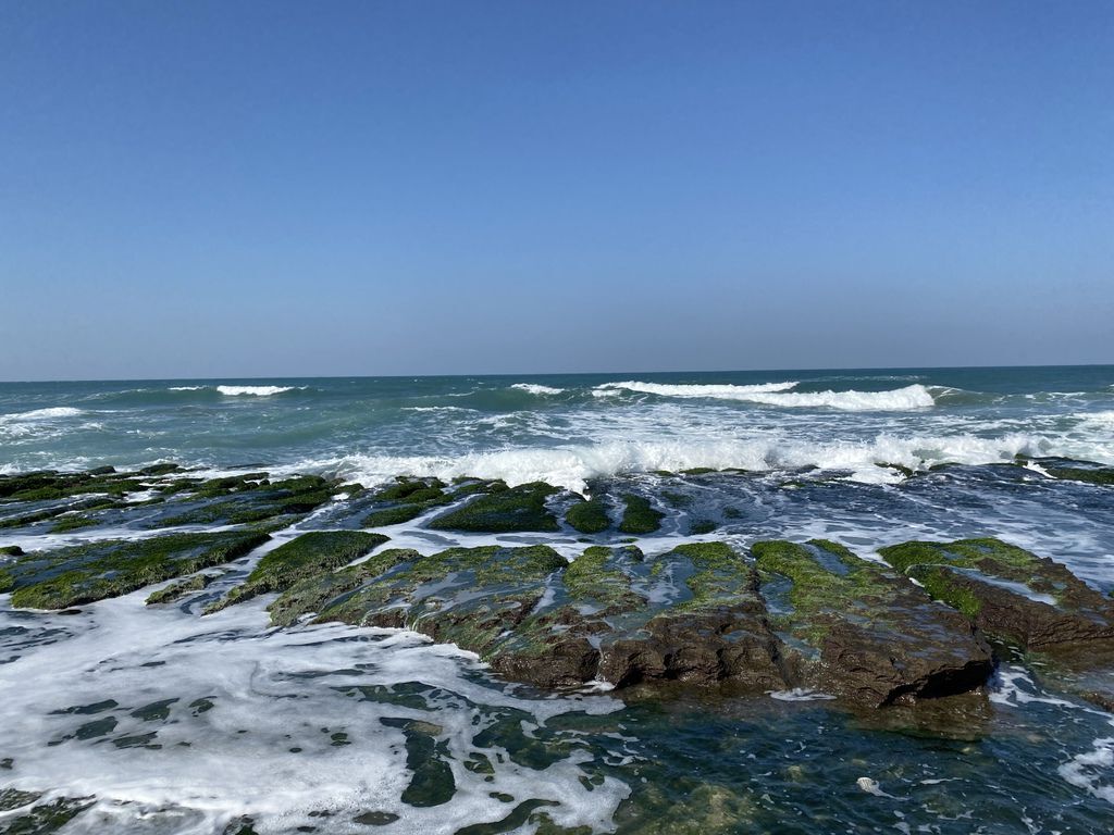 富貴角公園的老梅綠石槽,天然的綠色地毯!石門一日遊的好去處 富貴角公園的老梅綠石槽,天然的綠色地毯!石門一日遊的好去處