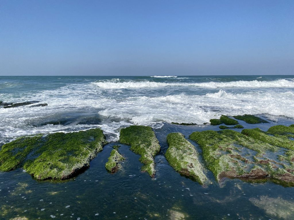 富貴角公園的老梅綠石槽,天然的綠色地毯!石門一日遊的好去處 富貴角公園的老梅綠石槽,天然的綠色地毯!石門一日遊的好去處