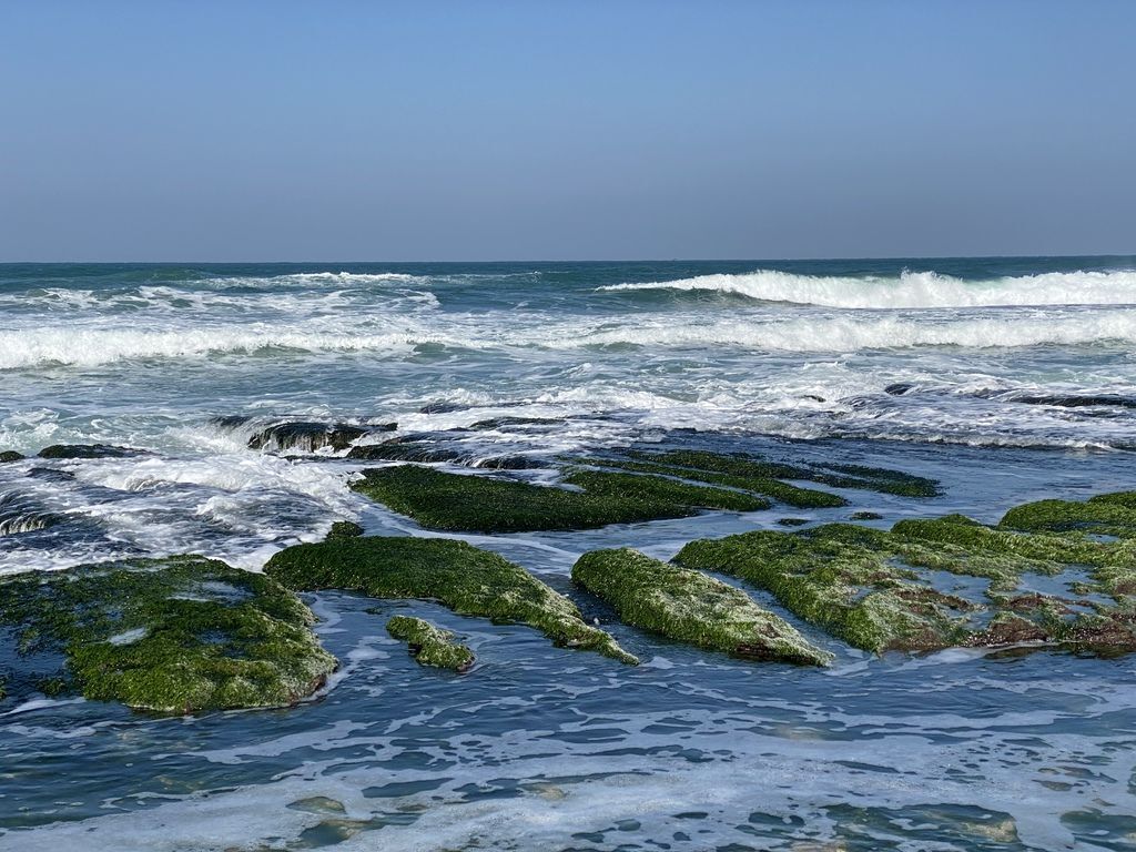 富貴角公園的老梅綠石槽,天然的綠色地毯!石門一日遊的好去處 富貴角公園的老梅綠石槽,天然的綠色地毯!石門一日遊的好去處