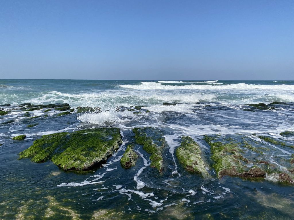 富貴角公園的老梅綠石槽,天然的綠色地毯!石門一日遊的好去處 富貴角公園的老梅綠石槽,天然的綠色地毯!石門一日遊的好去處