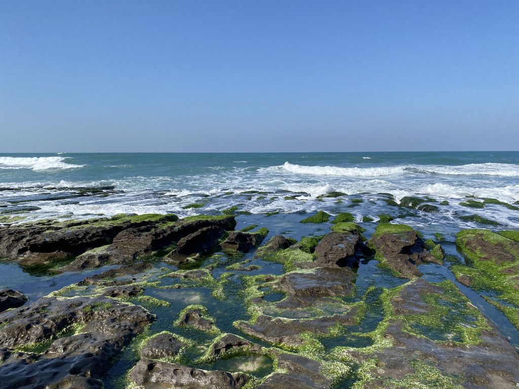 富貴角公園的老梅綠石槽,天然的綠色地毯!石門一日遊的好去處 富貴角公園的老梅綠石槽,天然的綠色地毯!石門一日遊的好去處