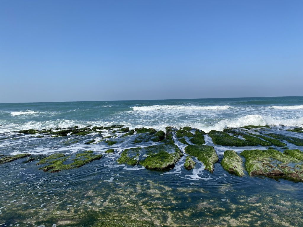 富貴角公園的老梅綠石槽,天然的綠色地毯!石門一日遊的好去處 富貴角公園的老梅綠石槽,天然的綠色地毯!石門一日遊的好去處