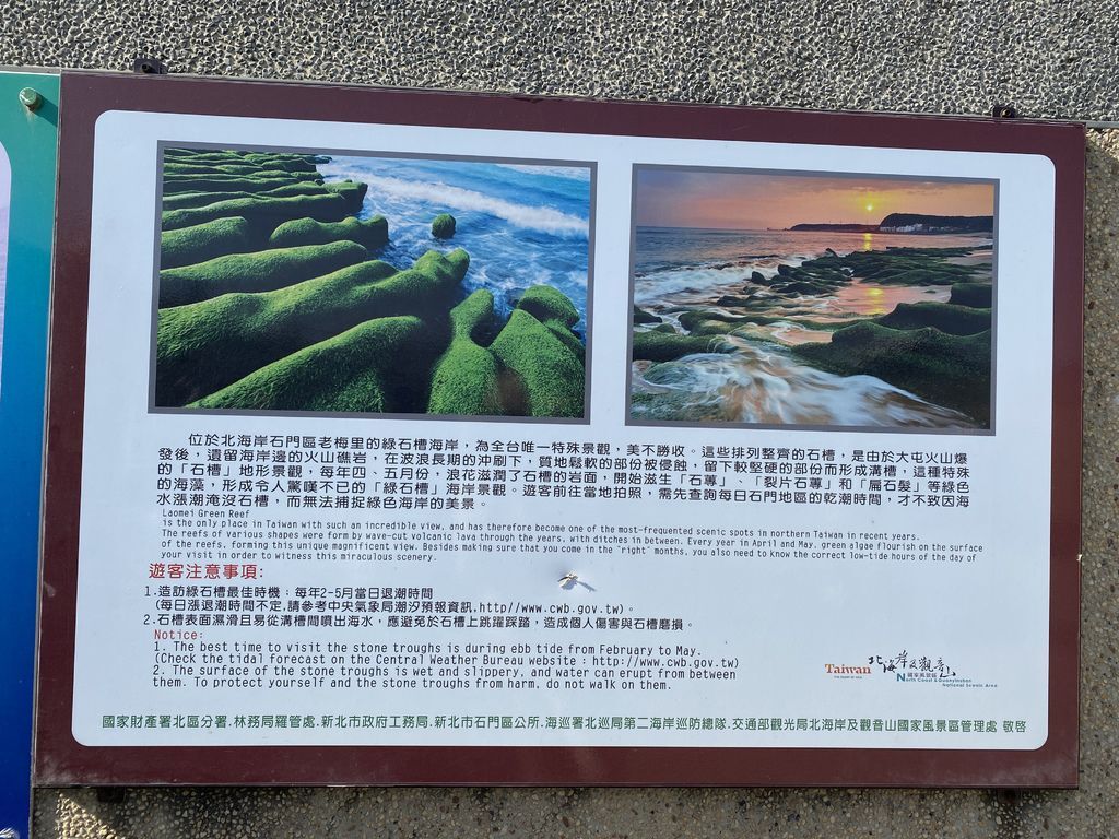 富貴角公園的老梅綠石槽,天然的綠色地毯!石門一日遊的好去處 富貴角公園的老梅綠石槽,天然的綠色地毯!石門一日遊的好去處