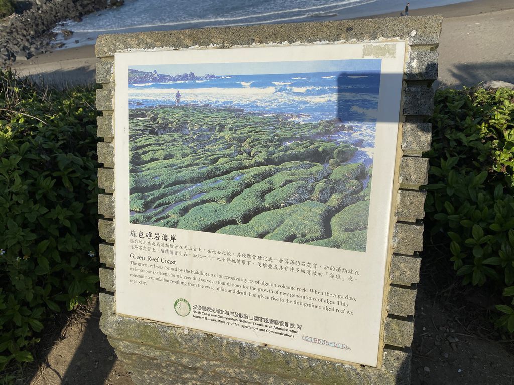 富貴角公園的老梅綠石槽,天然的綠色地毯!石門一日遊的好去處 富貴角公園的老梅綠石槽,天然的綠色地毯!石門一日遊的好去處