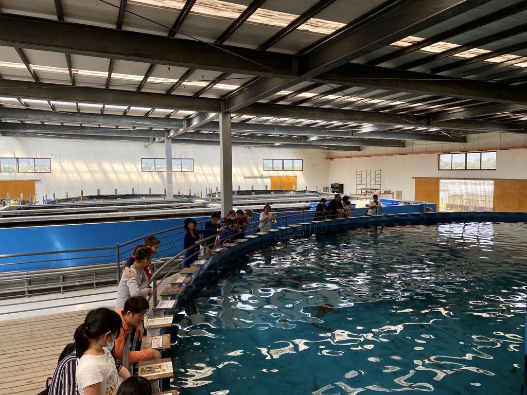 宜蘭礁溪景點-金車生物科技水產養殖研發中心,媲美水族館的室內景點 宜蘭礁溪景點-金車生物科技水產養殖研發中心,媲美水族館的室內景點