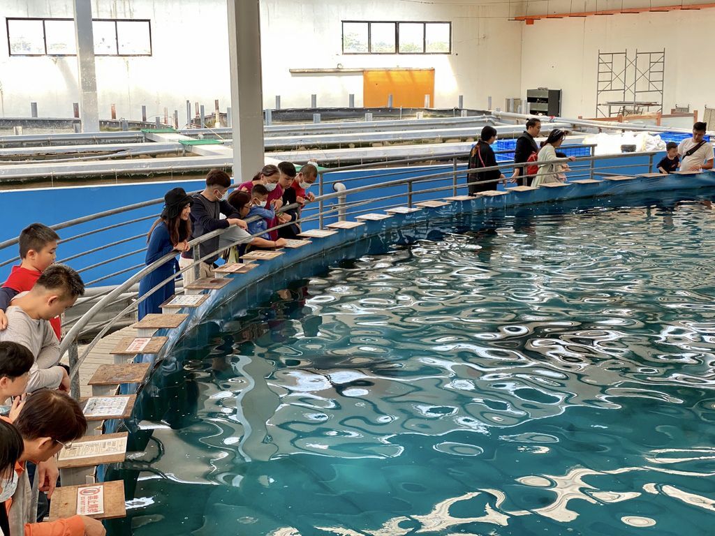 宜蘭礁溪景點-金車生物科技水產養殖研發中心,媲美水族館的室內景點 宜蘭礁溪景點-金車生物科技水產養殖研發中心,媲美水族館的室內景點