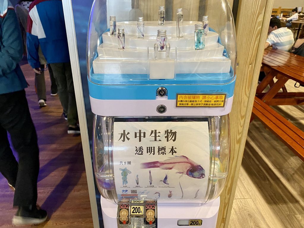 宜蘭礁溪景點-金車生物科技水產養殖研發中心,媲美水族館的室內景點 宜蘭礁溪景點-金車生物科技水產養殖研發中心,媲美水族館的室內景點