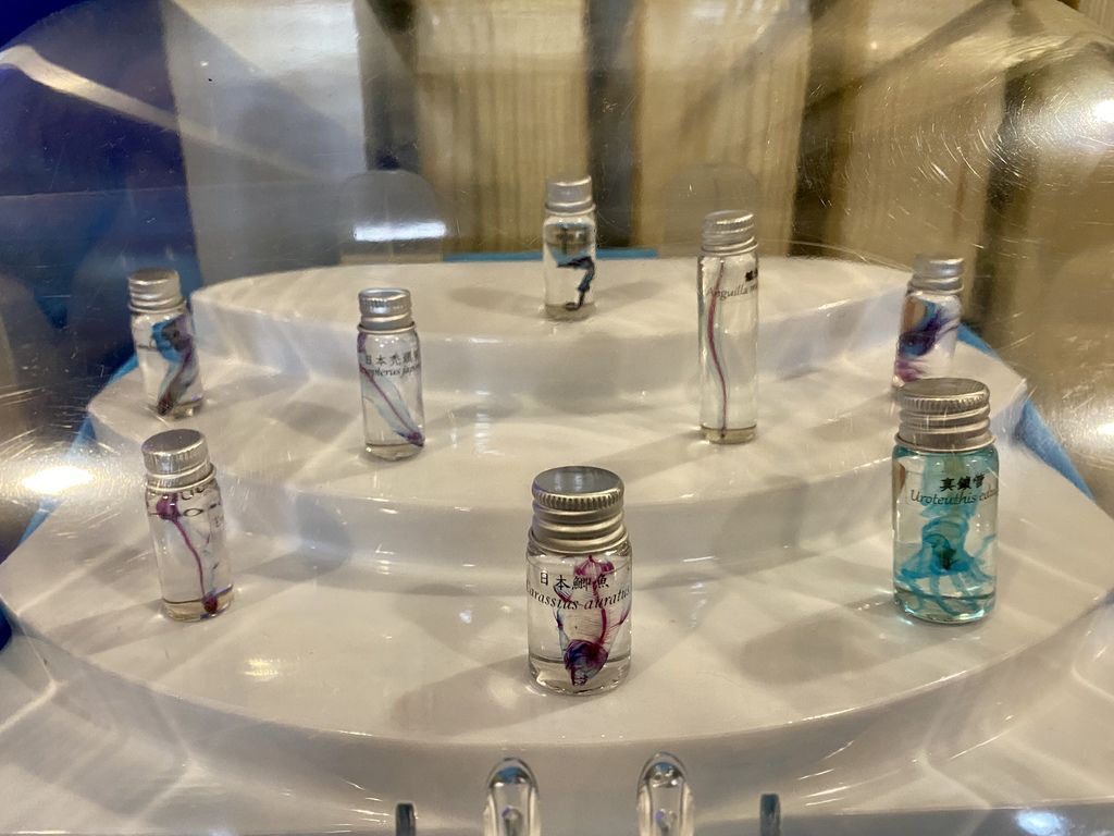 宜蘭礁溪景點-金車生物科技水產養殖研發中心,媲美水族館的室內景點 宜蘭礁溪景點-金車生物科技水產養殖研發中心,媲美水族館的室內景點