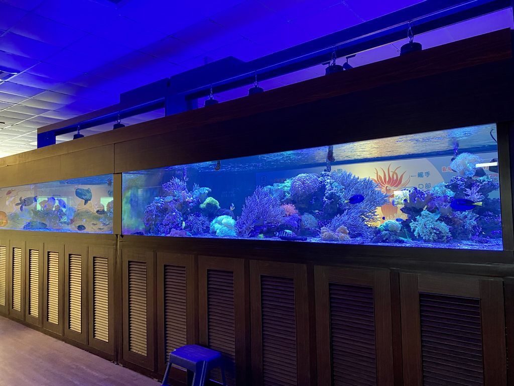 宜蘭礁溪景點-金車生物科技水產養殖研發中心,媲美水族館的室內景點 宜蘭礁溪景點-金車生物科技水產養殖研發中心,媲美水族館的室內景點