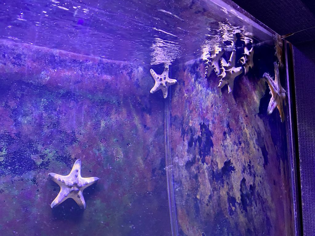 宜蘭礁溪景點-金車生物科技水產養殖研發中心,媲美水族館的室內景點 宜蘭礁溪景點-金車生物科技水產養殖研發中心,媲美水族館的室內景點