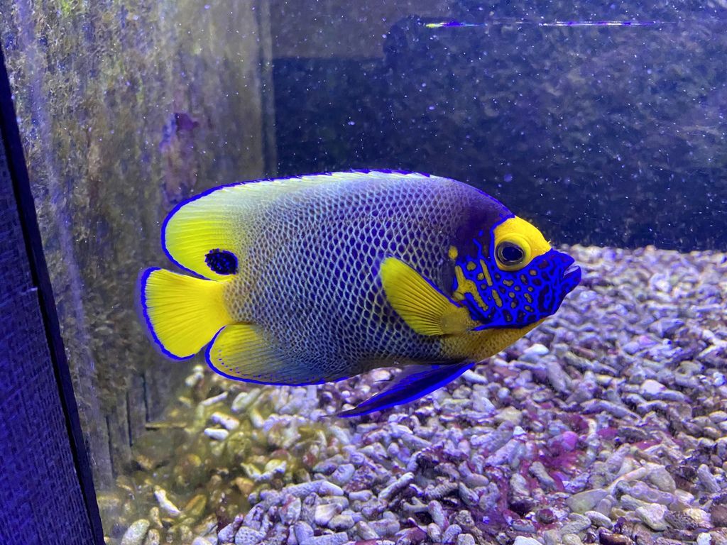 宜蘭礁溪景點-金車生物科技水產養殖研發中心，媲美水族館的室內景點