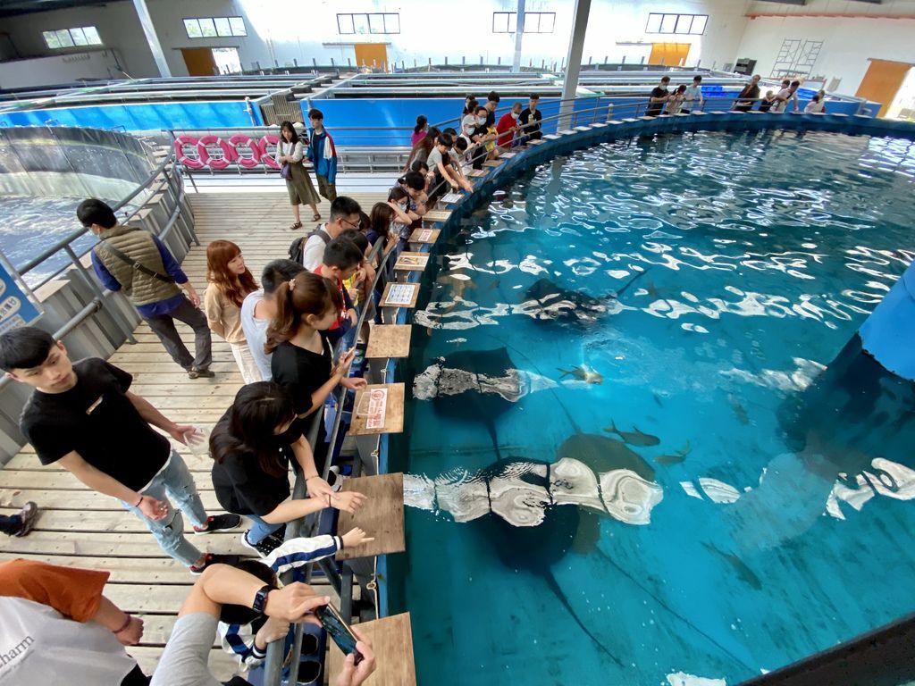 宜蘭礁溪景點-金車生物科技水產養殖研發中心,媲美水族館的室內景點 宜蘭礁溪景點-金車生物科技水產養殖研發中心,媲美水族館的室內景點
