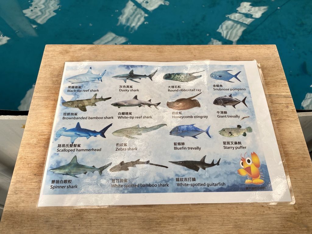 宜蘭礁溪景點-金車生物科技水產養殖研發中心,媲美水族館的室內景點 宜蘭礁溪景點-金車生物科技水產養殖研發中心,媲美水族館的室內景點