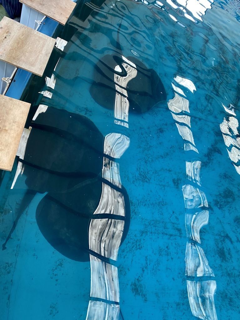宜蘭礁溪景點-金車生物科技水產養殖研發中心,媲美水族館的室內景點 宜蘭礁溪景點-金車生物科技水產養殖研發中心,媲美水族館的室內景點