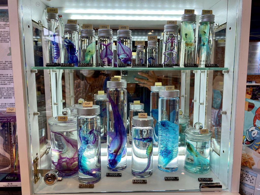 宜蘭礁溪景點-金車生物科技水產養殖研發中心,媲美水族館的室內景點 宜蘭礁溪景點-金車生物科技水產養殖研發中心,媲美水族館的室內景點