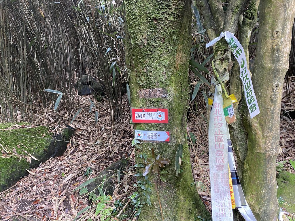 抹茶山就在台北，走訪CP值超高的台北抹茶山(小觀音山)，登頂不用一小時