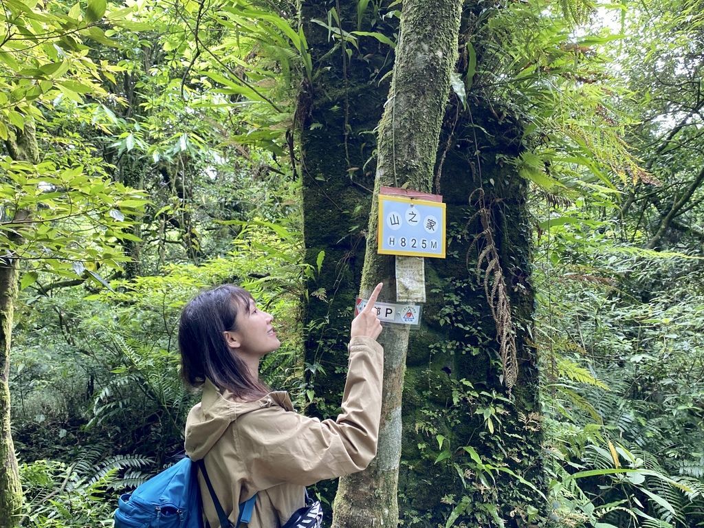 抹茶山就在台北，走訪CP值超高的台北抹茶山(小觀音山)，登頂不用一小時