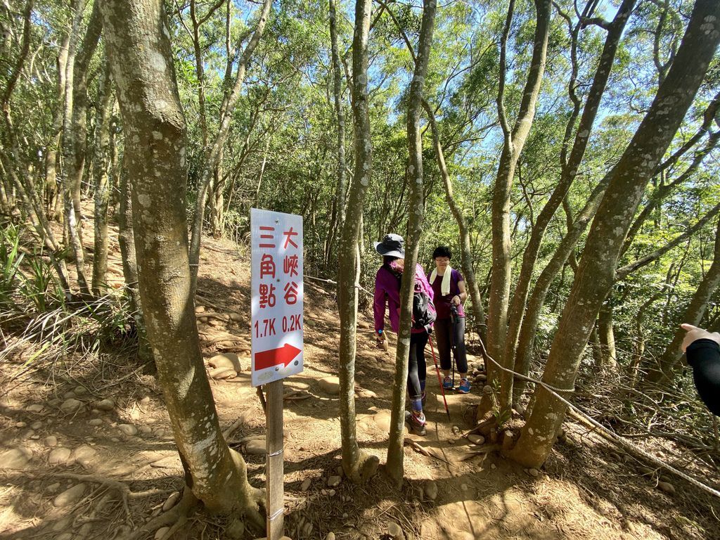 必去的苗栗景點-美國大峽谷在台灣！走訪苗栗火炎山