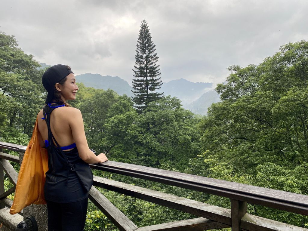 三峽景點-台灣唯一的亞熱帶雨林步道，大板根森林步道