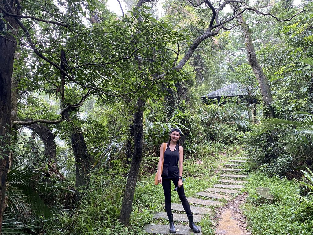 三峽景點-台灣唯一的亞熱帶雨林步道，大板根森林步道