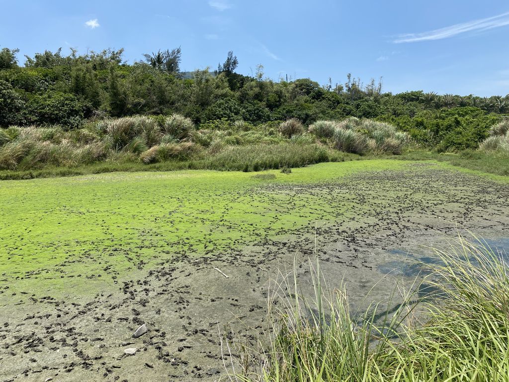 屏東滿州景點-在港口吊橋欣賞超美出海口及走訪濕地公園