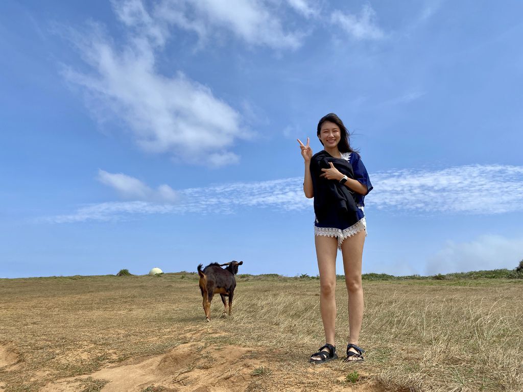 屏東墾丁景點-在龍磐公園欣賞美麗的海景、大草原以及尋找可愛小羊 屏東墾丁景點-在龍磐公園欣賞美麗的海景、大草原以及尋找可愛小羊