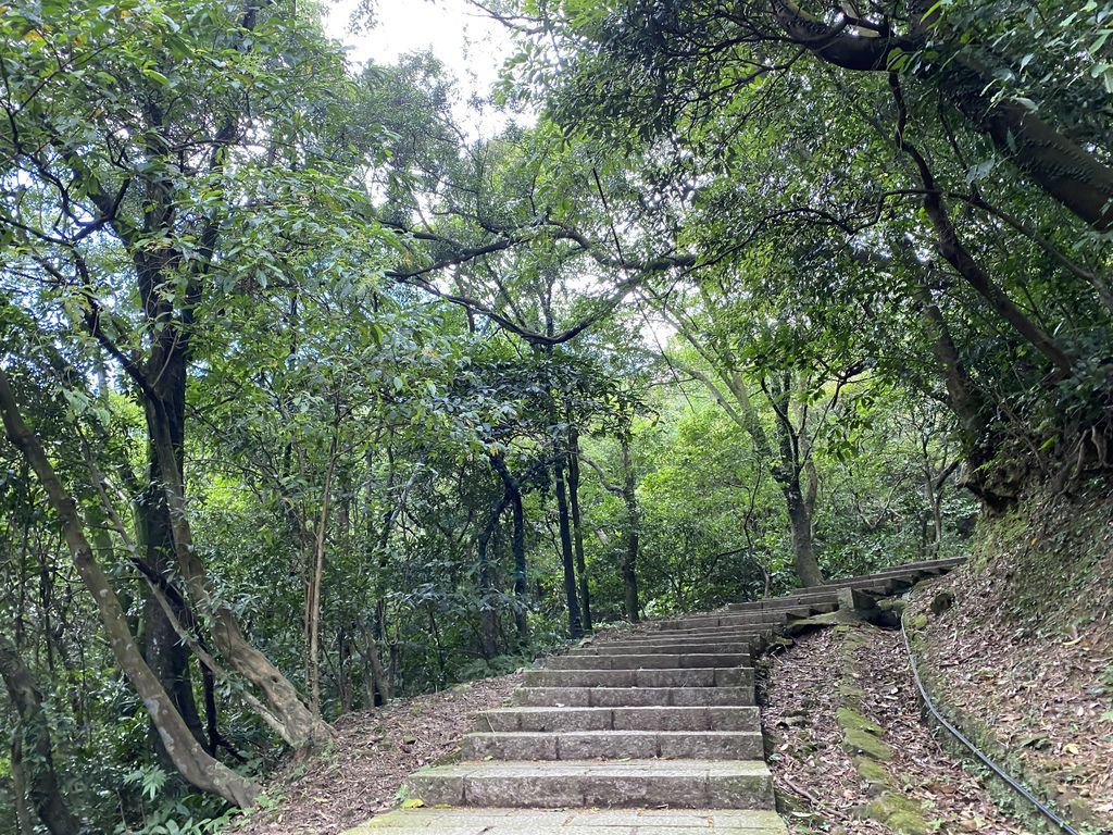汐止景點-親民的新山夢湖步道,走訪汐止知名的夢幻之湖 汐止景點-親民的新山夢湖步道,走訪汐止知名的夢幻之湖