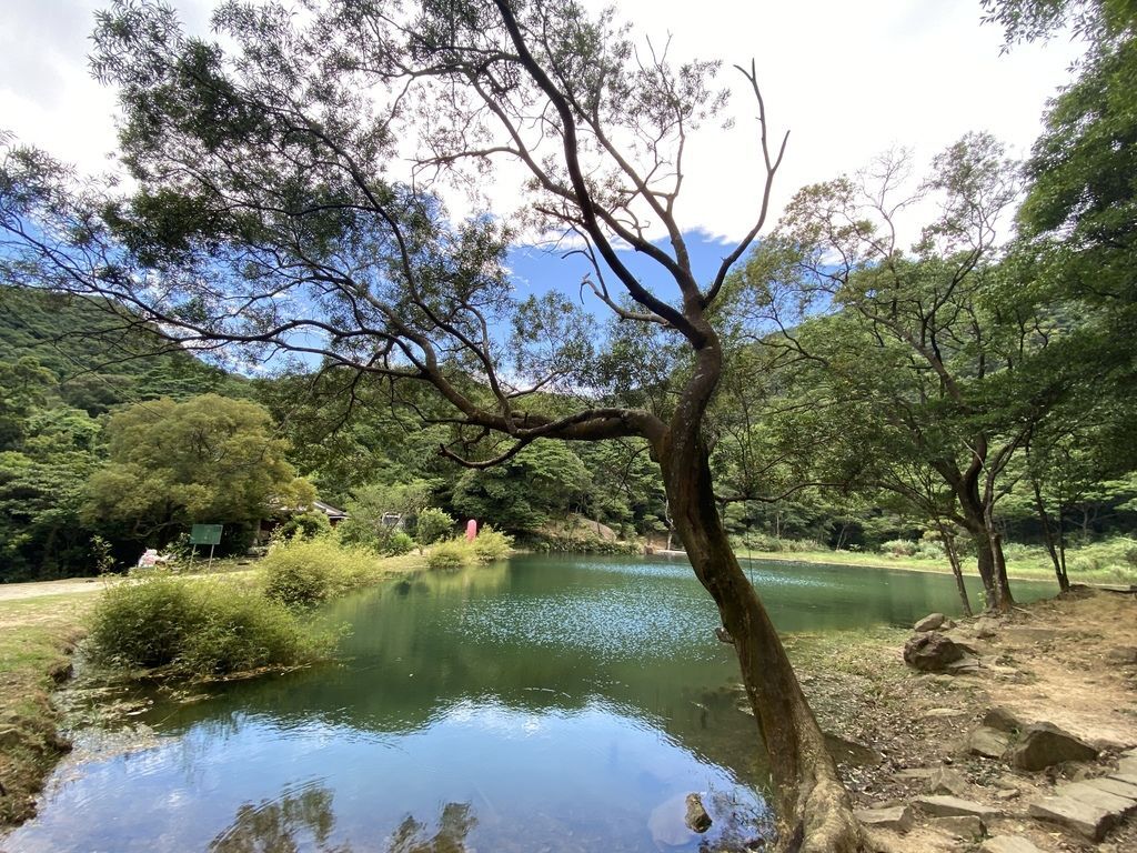 汐止景點-親民的新山夢湖步道,走訪汐止知名的夢幻之湖 汐止景點-親民的新山夢湖步道,走訪汐止知名的夢幻之湖