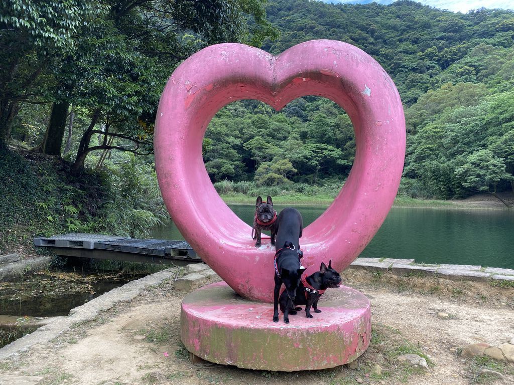 汐止景點-親民的新山夢湖步道,走訪汐止知名的夢幻之湖 汐止景點-親民的新山夢湖步道,走訪汐止知名的夢幻之湖