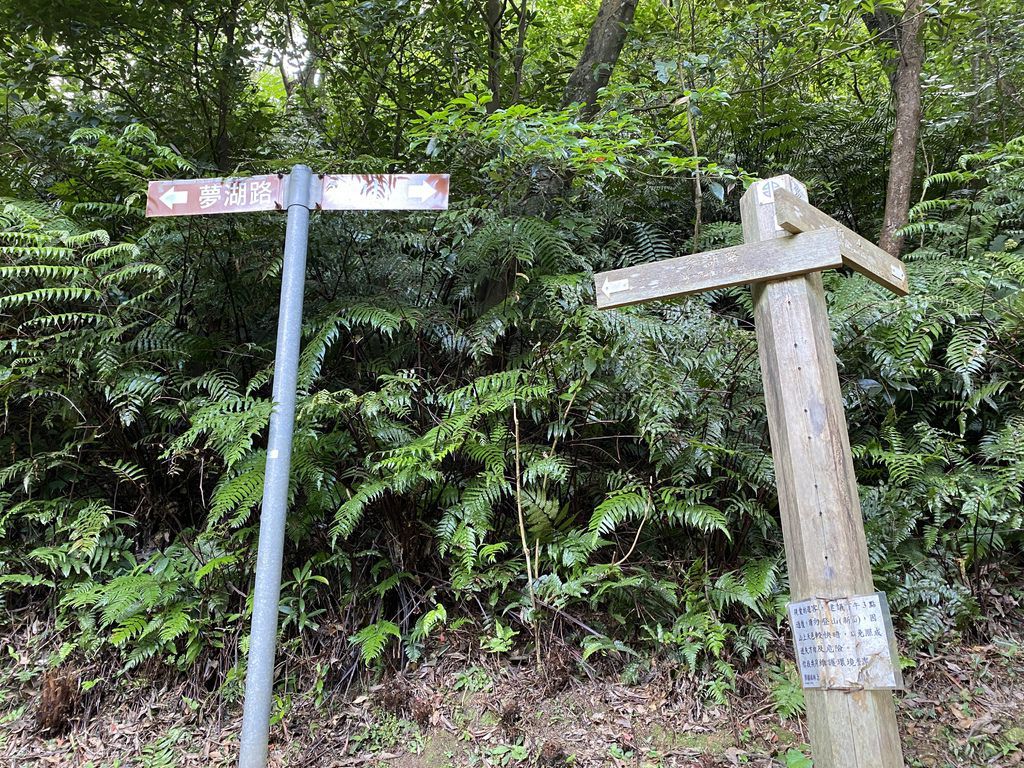 汐止景點-親民的新山夢湖步道,走訪汐止知名的夢幻之湖 汐止景點-親民的新山夢湖步道,走訪汐止知名的夢幻之湖