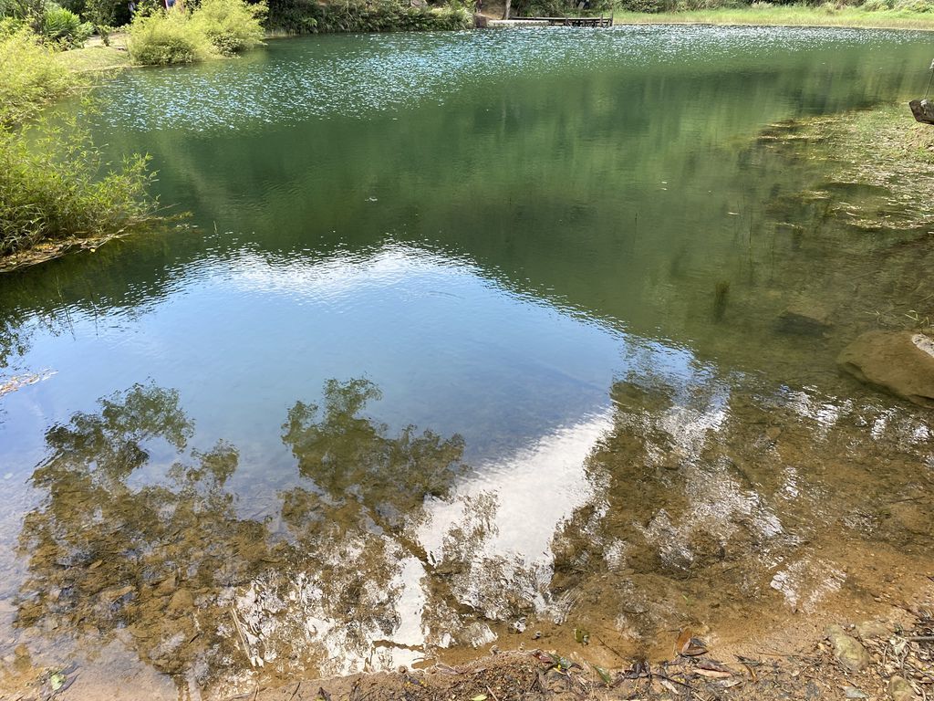 汐止景點-親民的新山夢湖步道,走訪汐止知名的夢幻之湖 汐止景點-親民的新山夢湖步道,走訪汐止知名的夢幻之湖