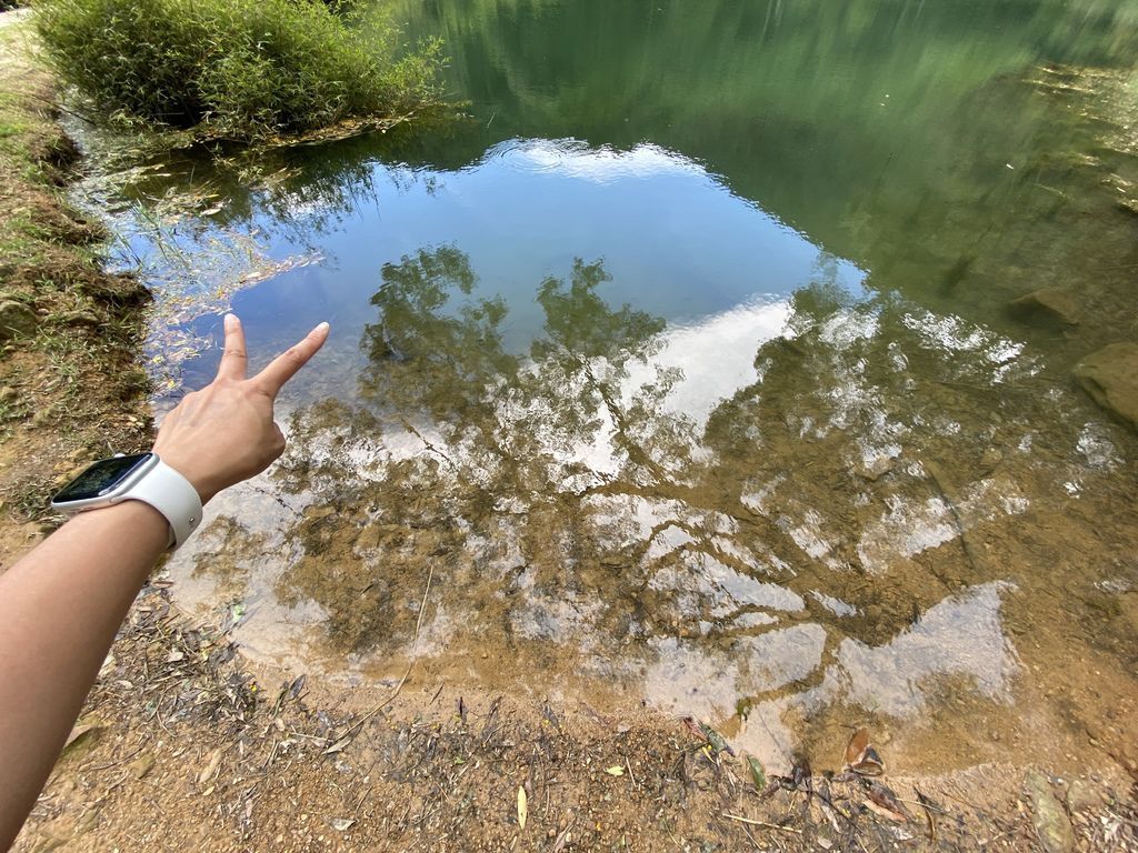 汐止景點-親民的新山夢湖步道,走訪汐止知名的夢幻之湖 汐止景點-親民的新山夢湖步道,走訪汐止知名的夢幻之湖
