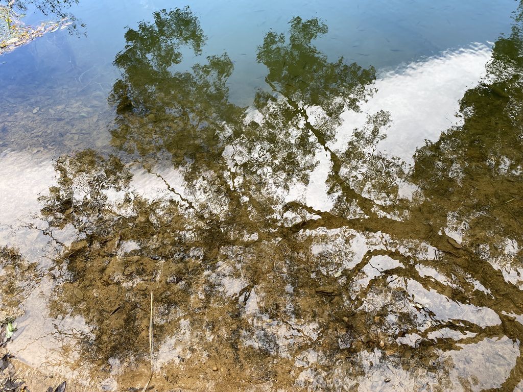 汐止景點-親民的新山夢湖步道,走訪汐止知名的夢幻之湖 汐止景點-親民的新山夢湖步道,走訪汐止知名的夢幻之湖