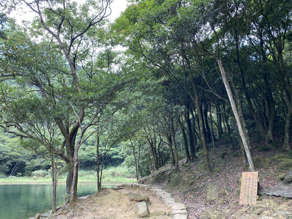 汐止景點-親民的新山夢湖步道,走訪汐止知名的夢幻之湖 汐止景點-親民的新山夢湖步道,走訪汐止知名的夢幻之湖