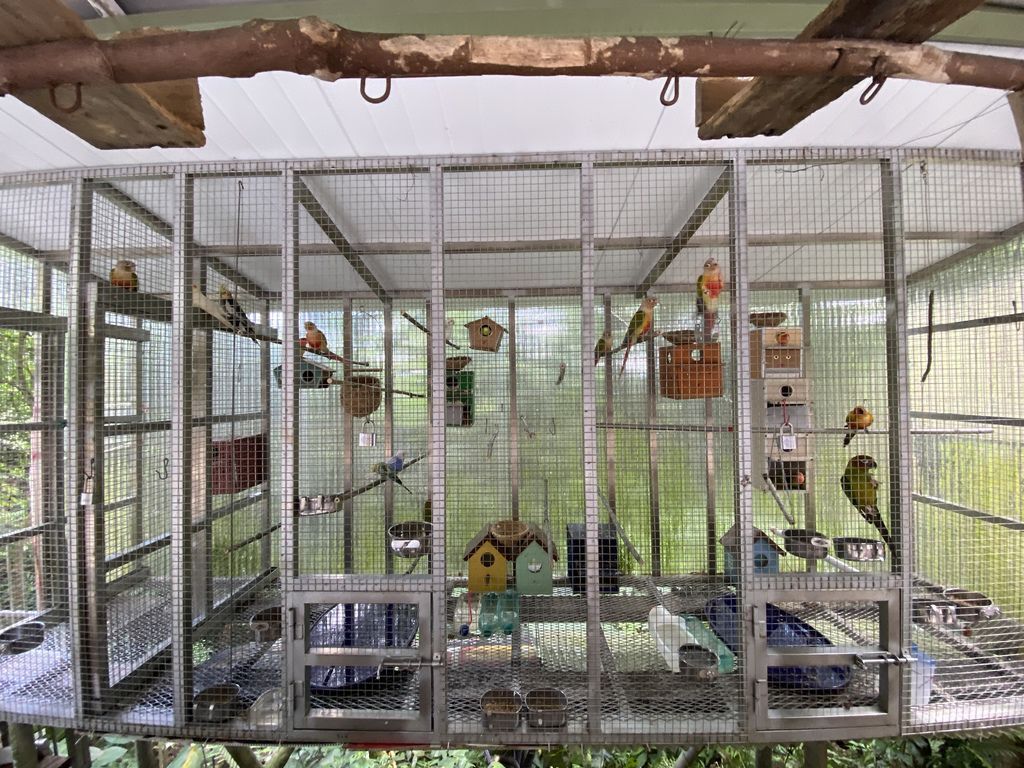 汐止景點-親民的新山夢湖步道,走訪汐止知名的夢幻之湖 汐止景點-親民的新山夢湖步道,走訪汐止知名的夢幻之湖