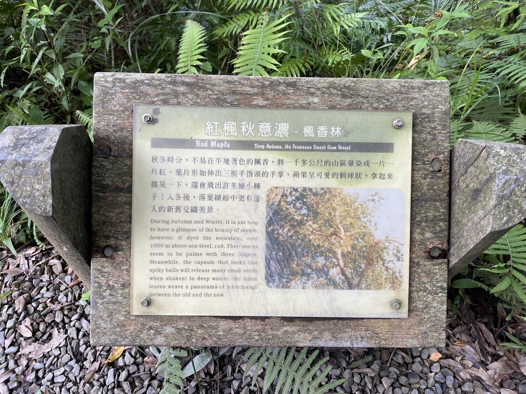 必去的礁溪景點-到訪宜蘭小太魯閣之稱的林美石磐步道