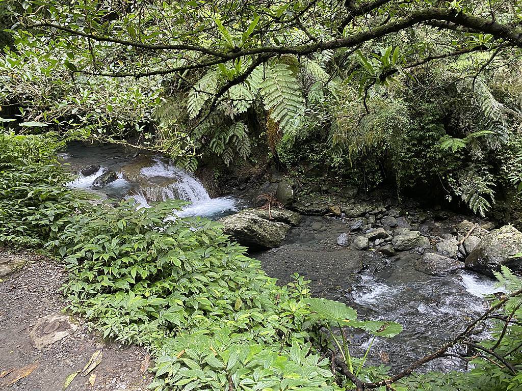 宜蘭礁溪瀑布景點-跟著丁小羽去林美石磐步道上的石磐瀑布