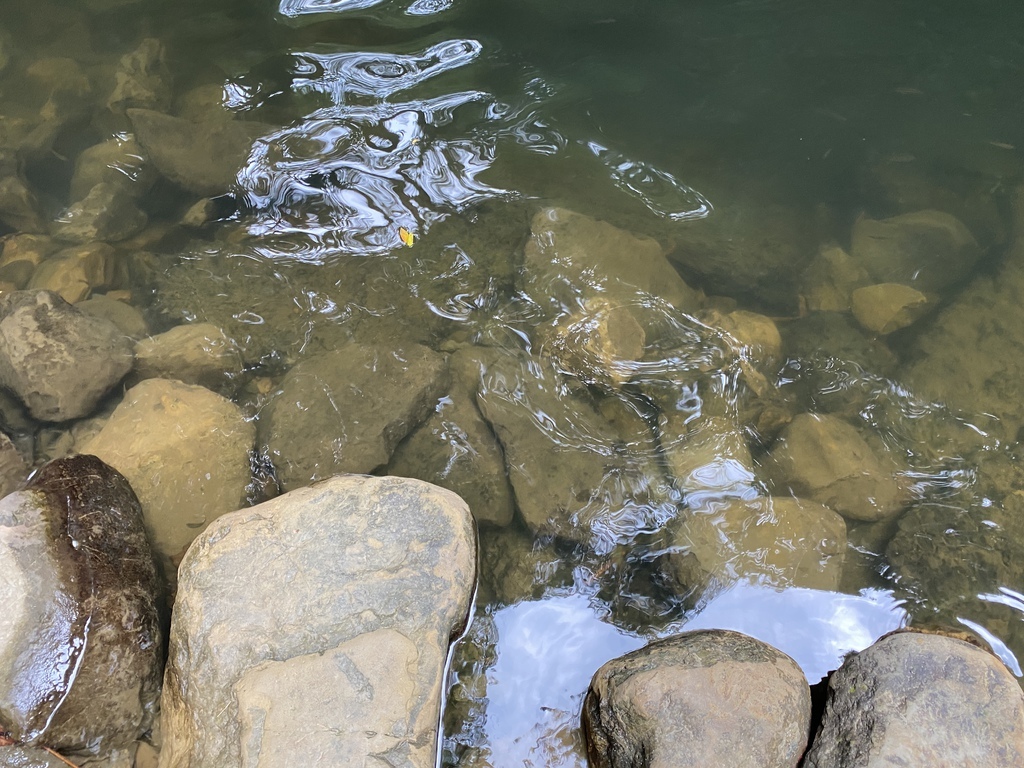 平溪瀑布景點-環境清幽的簾幕式瀑布-望古瀑布 平溪瀑布景點-環境清幽的簾幕式瀑布-望古瀑布