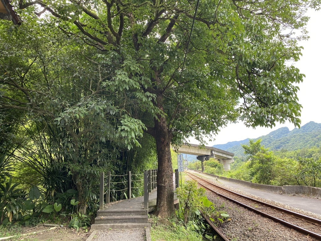 平溪瀑布景點-環境清幽的簾幕式瀑布-望古瀑布 平溪瀑布景點-環境清幽的簾幕式瀑布-望古瀑布