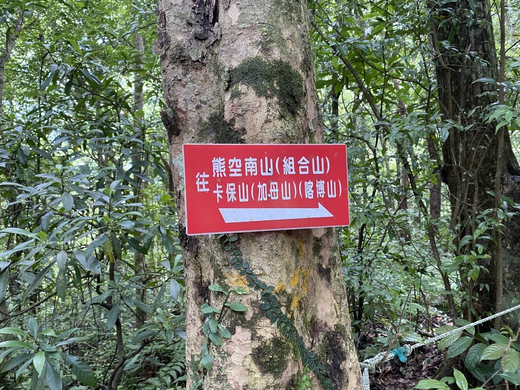 三峽瀑布景點-走訪雲森瀑布秘境-平易近人、小而美的阿花瀑布