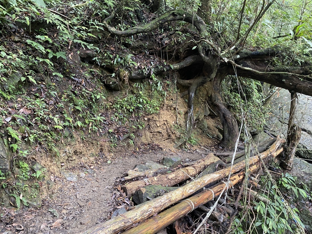 三峽瀑布景點-走訪雲森瀑布秘境-平易近人、小而美的阿花瀑布 三峽瀑布景點-走訪雲森瀑布秘境-平易近人、小而美的阿花瀑布