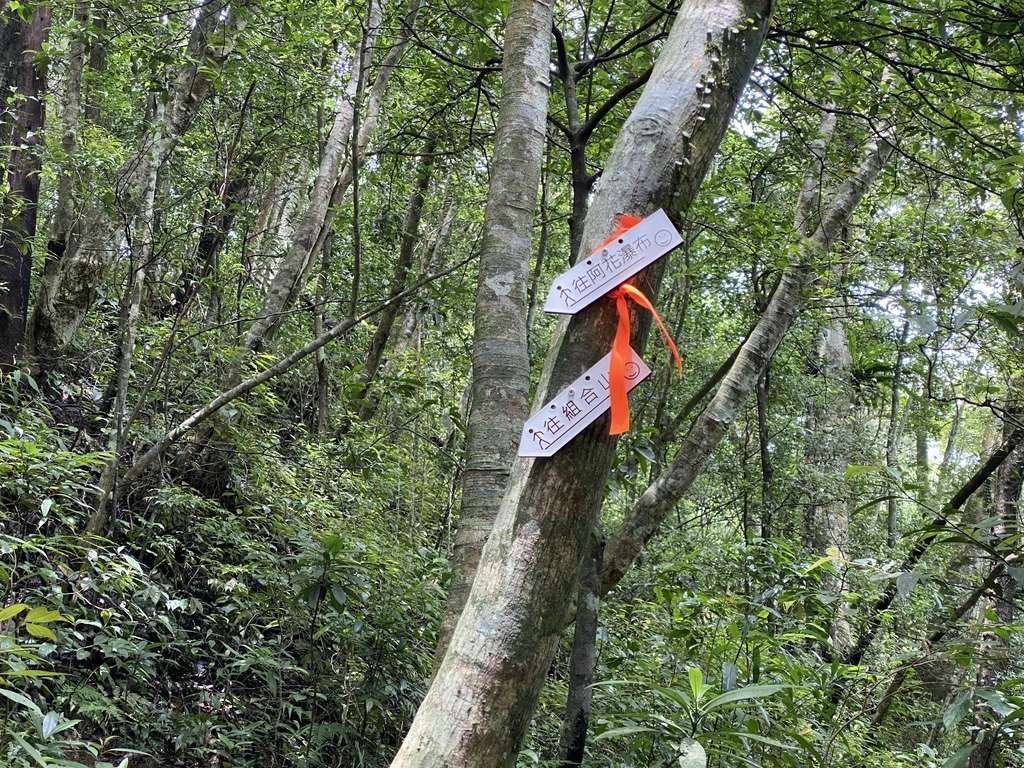 三峽瀑布景點-走訪雲森瀑布秘境-平易近人、小而美的阿花瀑布 三峽瀑布景點-走訪雲森瀑布秘境-平易近人、小而美的阿花瀑布