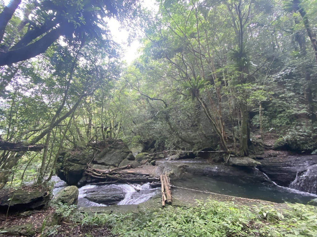 三峽瀑布景點-走訪雲森瀑布秘境-平易近人、小而美的阿花瀑布 三峽瀑布景點-走訪雲森瀑布秘境-平易近人、小而美的阿花瀑布