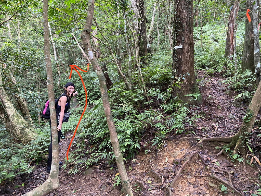 三峽瀑布景點-走訪雲森瀑布秘境-平易近人、小而美的阿花瀑布 三峽瀑布景點-走訪雲森瀑布秘境-平易近人、小而美的阿花瀑布