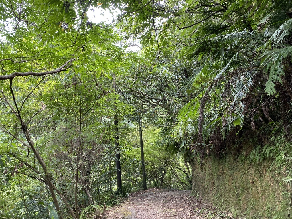 平溪瀑布景點-萬寶洞紀念公園的斜壁式瀑布-萬寶洞瀑布