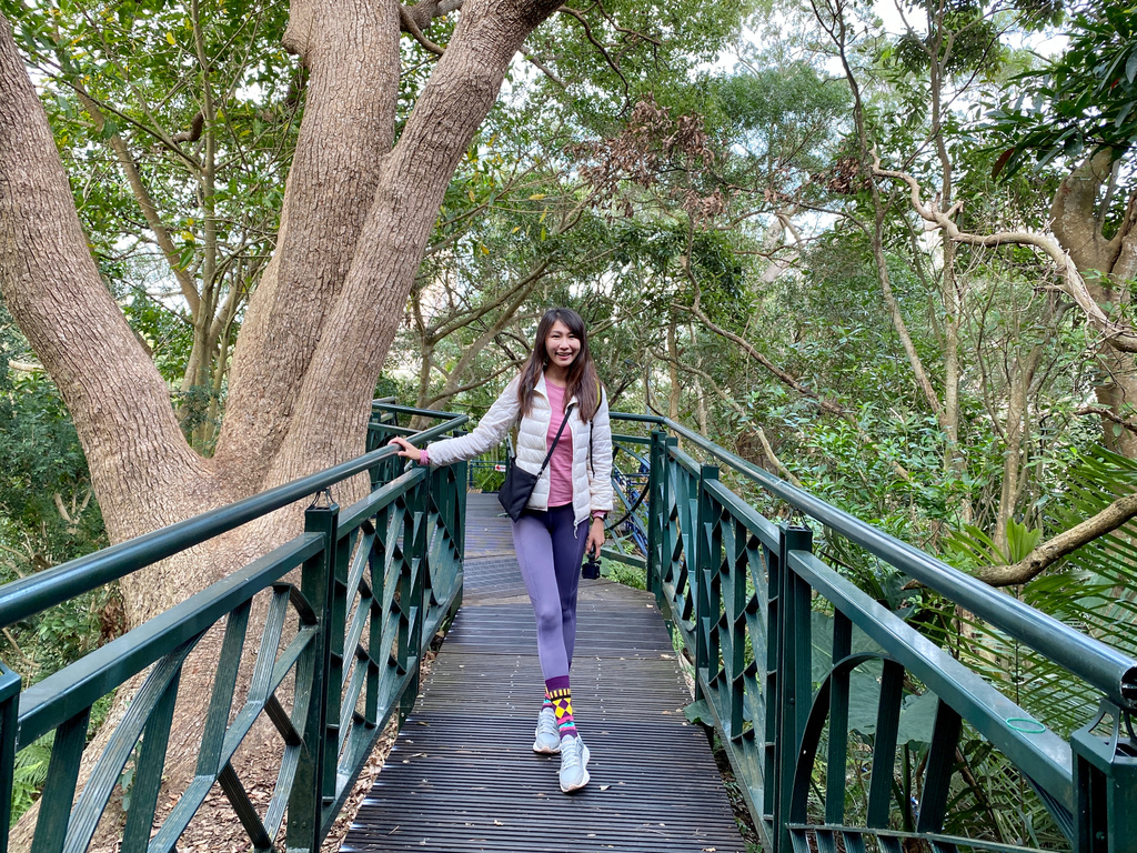 新店登山步道-和美山登山步道,遠看碧潭風景,賞螢火蟲的好地方 新店登山步道-和美山登山步道,遠看碧潭風景,賞螢火蟲的好地方
